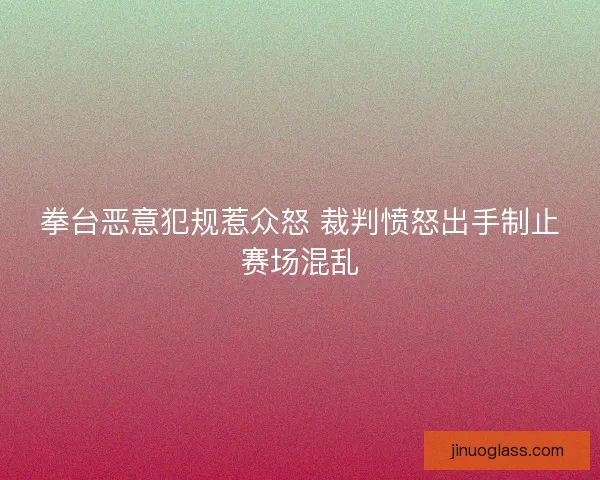 拳台恶意犯规惹众怒 裁判愤怒出手制止赛场混乱 拳台恶意犯规惹众怒 裁判愤怒出手制止赛场混乱