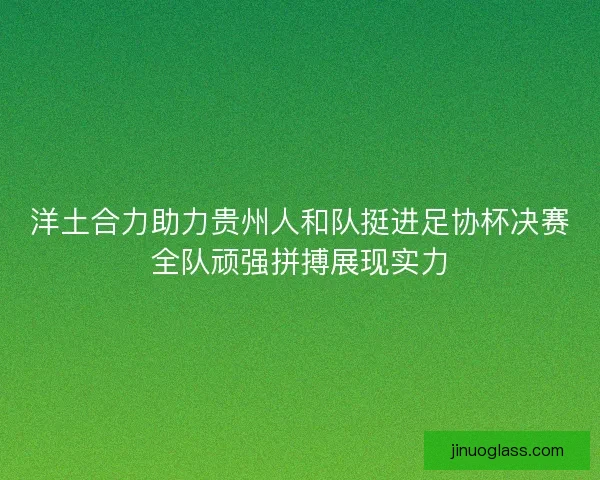 洋土合力助力贵州人和队挺进足协杯决赛全队顽强拼搏展现实力